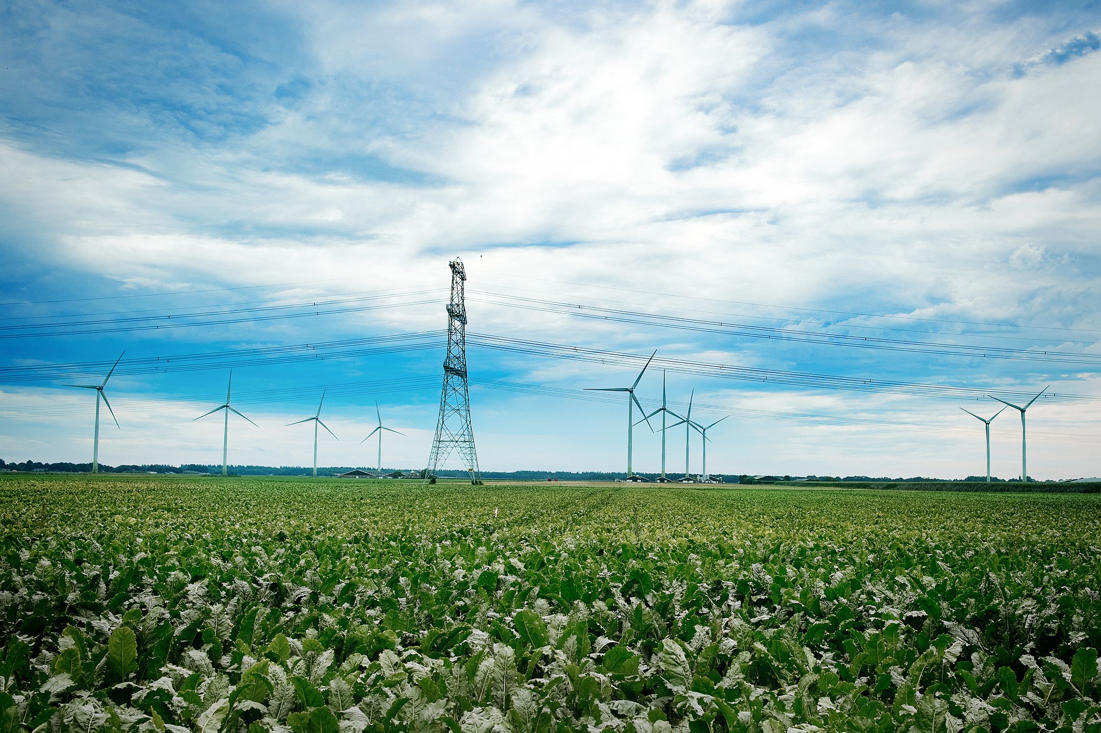Bürofoto von Mijnheer Makelaars