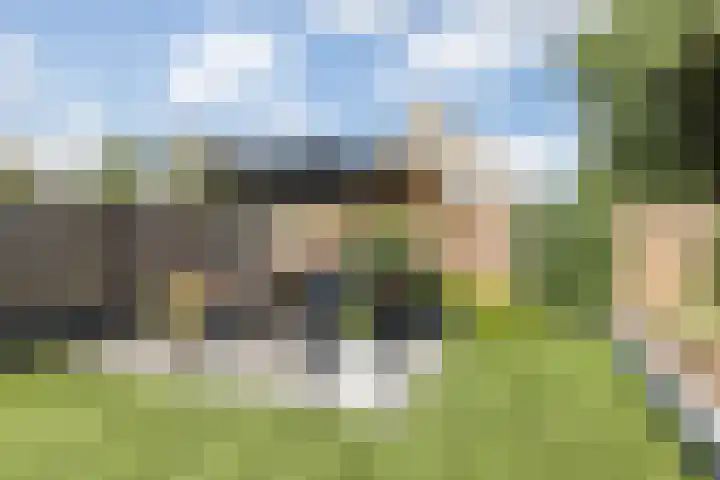 Mijnlampstraat 7 Geleen thumbnail 30