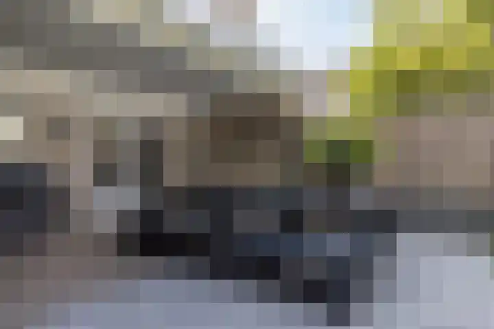 Mijnlampstraat 7 Geleen thumbnail 31