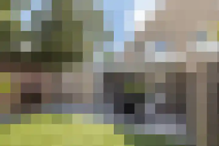 Mijnlampstraat 7 Geleen thumbnail 4
