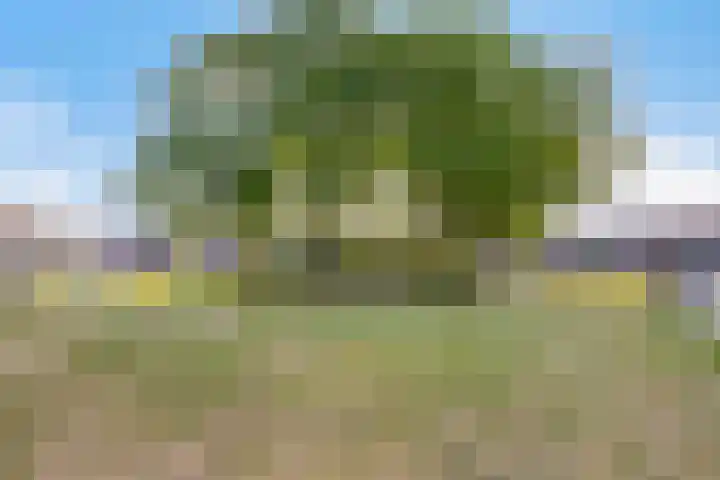 Mijnsheerenlandstraat 49 Tilburg thumbnail 33