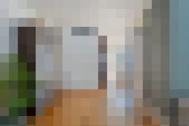 Mijnsheerenlandstraat 49 Tilburg thumbnail 4