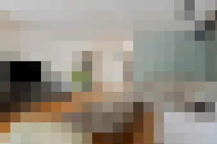 Mijnsheerenlandstraat 49 Tilburg thumbnail 5
