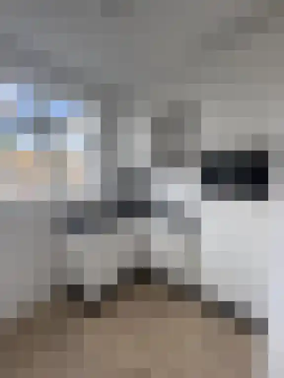 Mijnsherenlaan 103 C Rotterdam thumbnail 7