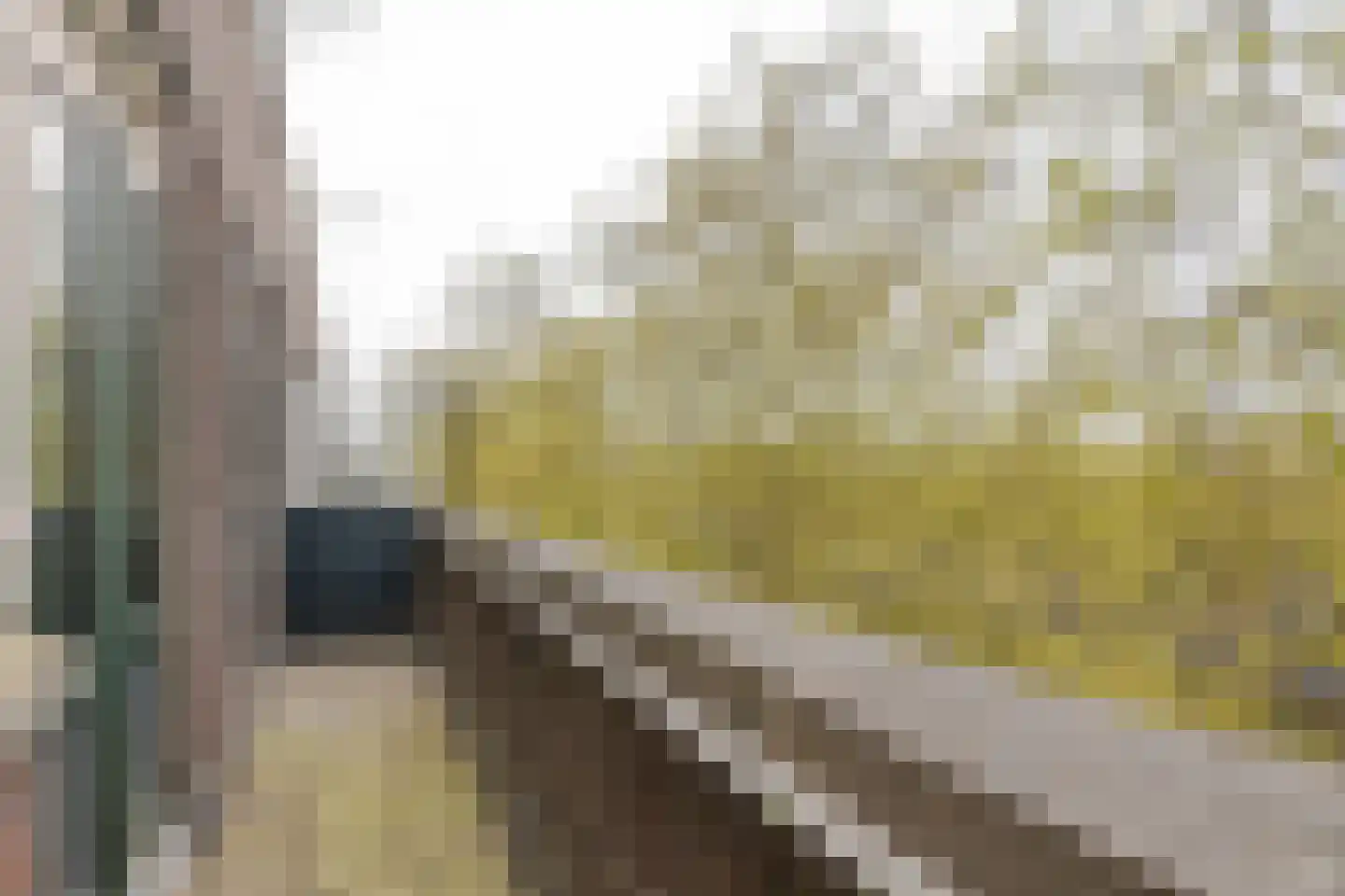 Mijnsherenlaan 114 A Rotterdam thumbnail 37