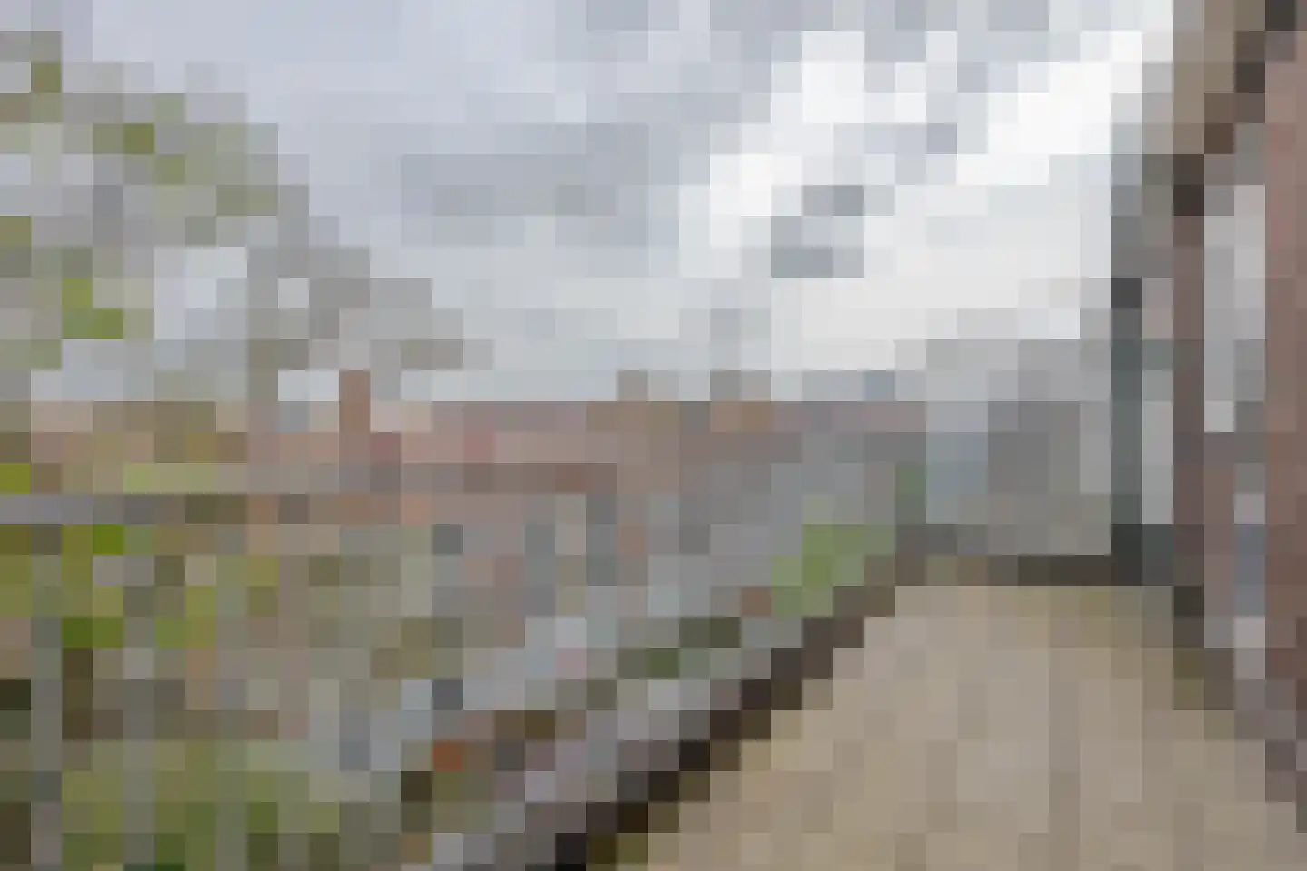 Mijnsherenlaan 114 A Rotterdam thumbnail 5