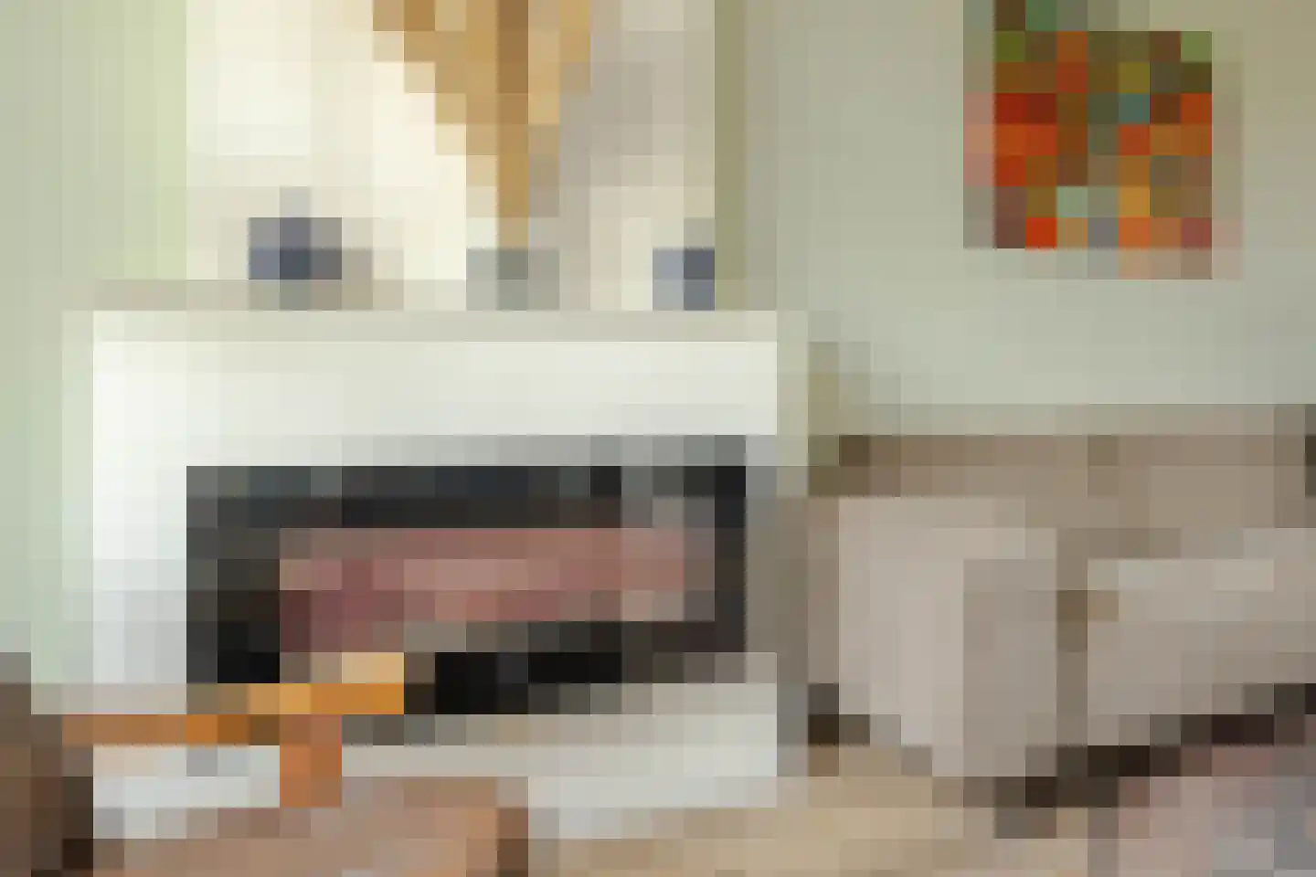 Mijnsherenlaan 114 B Rotterdam thumbnail 10