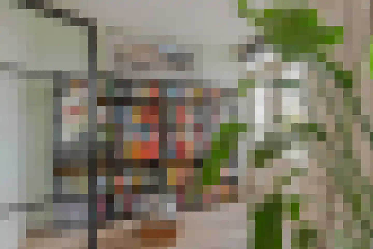 Mijnsherenlaan 114 B Rotterdam thumbnail 12