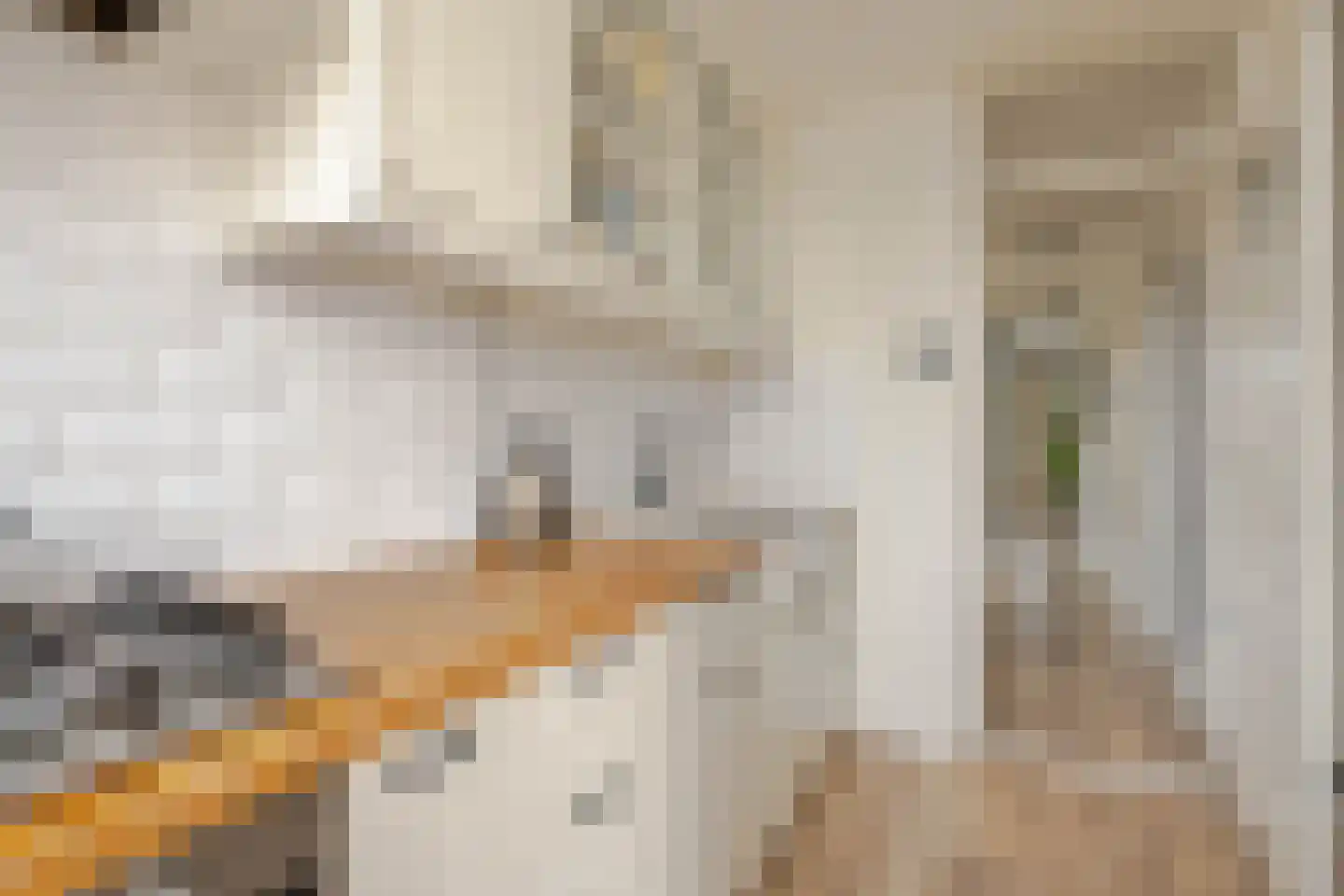 Mijnsherenlaan 114 B Rotterdam thumbnail 19