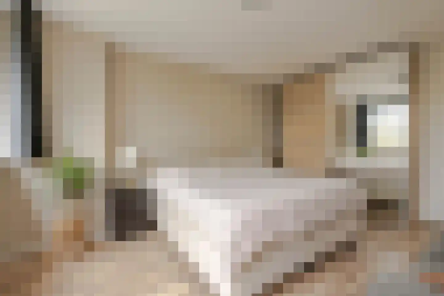 Mijnsherenlaan 114 B Rotterdam thumbnail 25