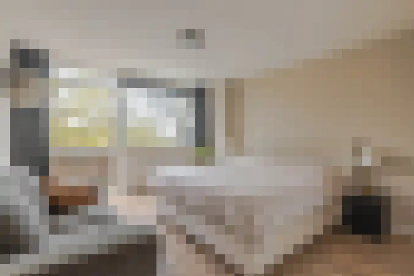 Mijnsherenlaan 114 B Rotterdam thumbnail 4