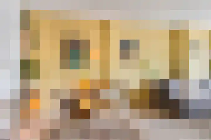 Mijnsherenlaan 116 C Rotterdam thumbnail 13