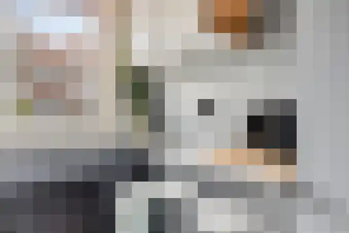 Mijnsherenlaan 116 C Rotterdam thumbnail 15