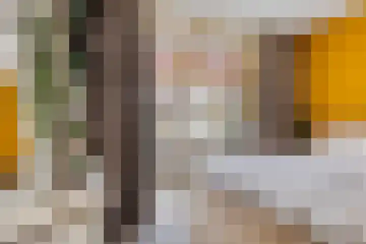 Mijnsherenlaan 116 C Rotterdam thumbnail 17