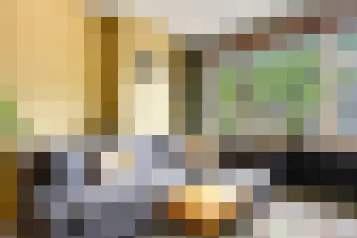Mijnsherenlaan 116 C Rotterdam thumbnail 9
