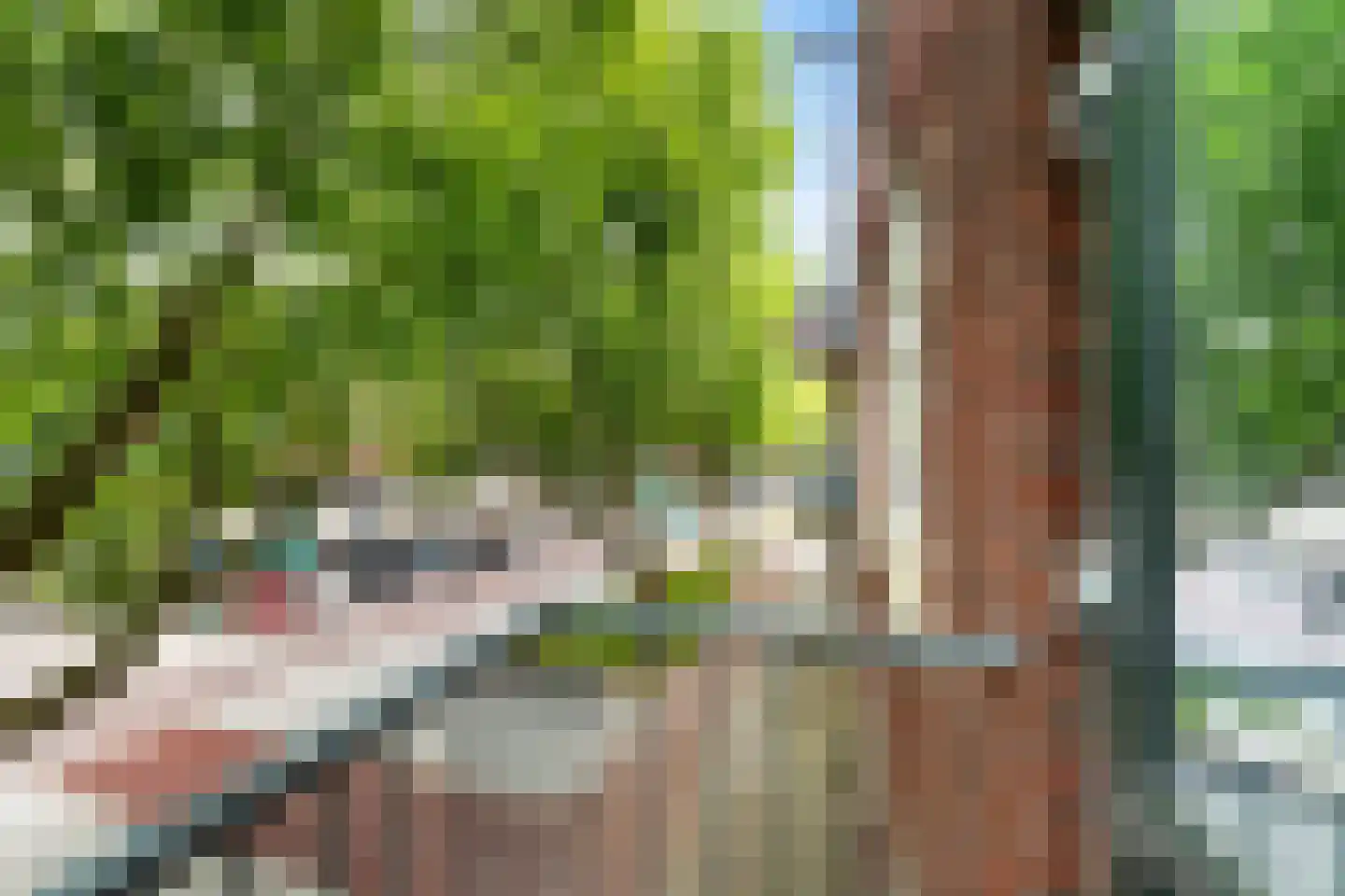 Mijnsherenlaan 118 C Rotterdam thumbnail 21