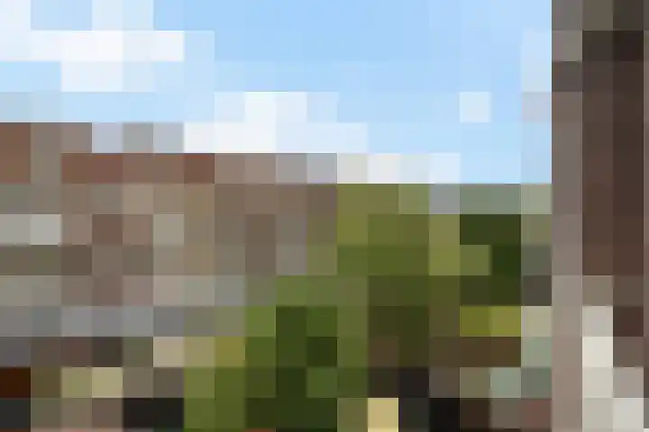 Mijnsherenlaan 118 C Rotterdam thumbnail 24