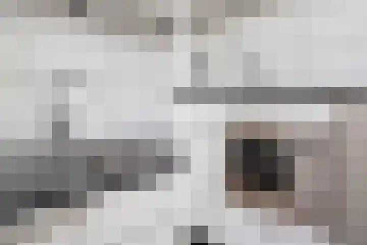 Mijnsherenlaan 118 C Rotterdam thumbnail 34
