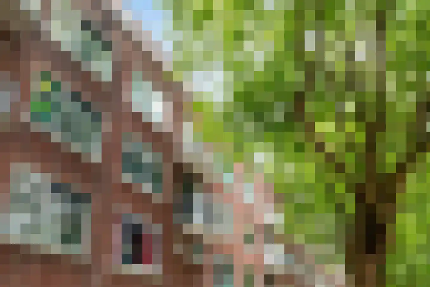 Mijnsherenlaan 118 C Rotterdam thumbnail 37