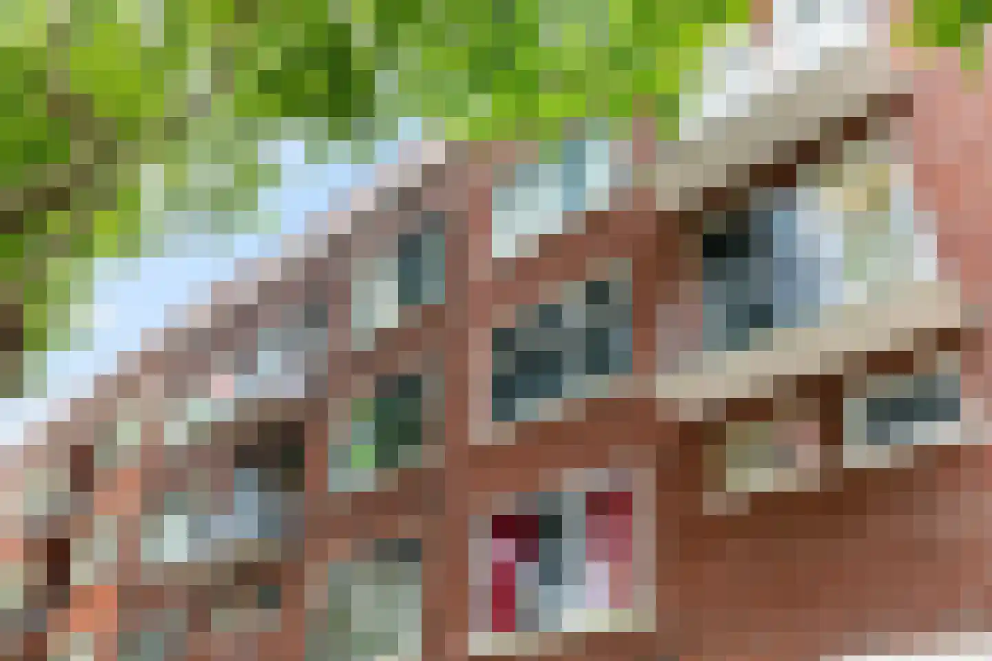 Mijnsherenlaan 118 C Rotterdam thumbnail 38