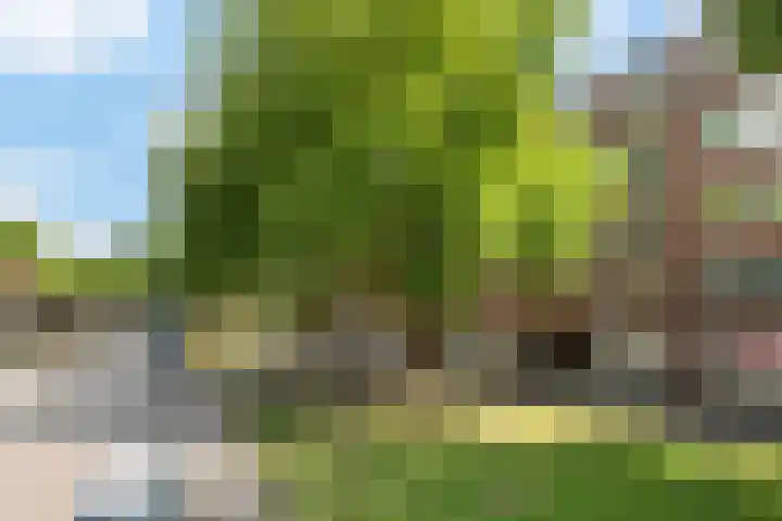 Mijnsherenlaan 118 C Rotterdam thumbnail 4