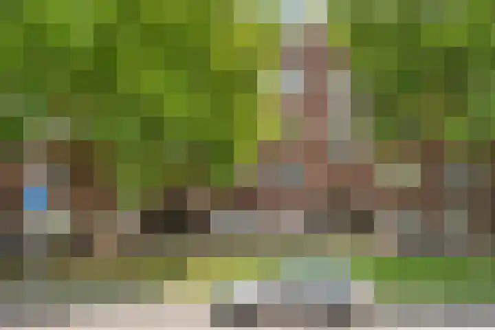 Mijnsherenlaan 118 C Rotterdam thumbnail 42