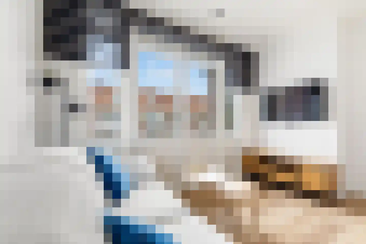 Mijnsherenlaan 118 C Rotterdam thumbnail 7