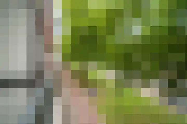 Mijnsherenlaan 118 C Rotterdam thumbnail 8