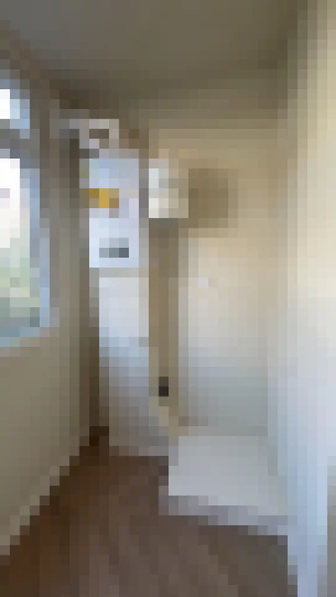 Mijnsherenlaan 122 C Rotterdam thumbnail 15