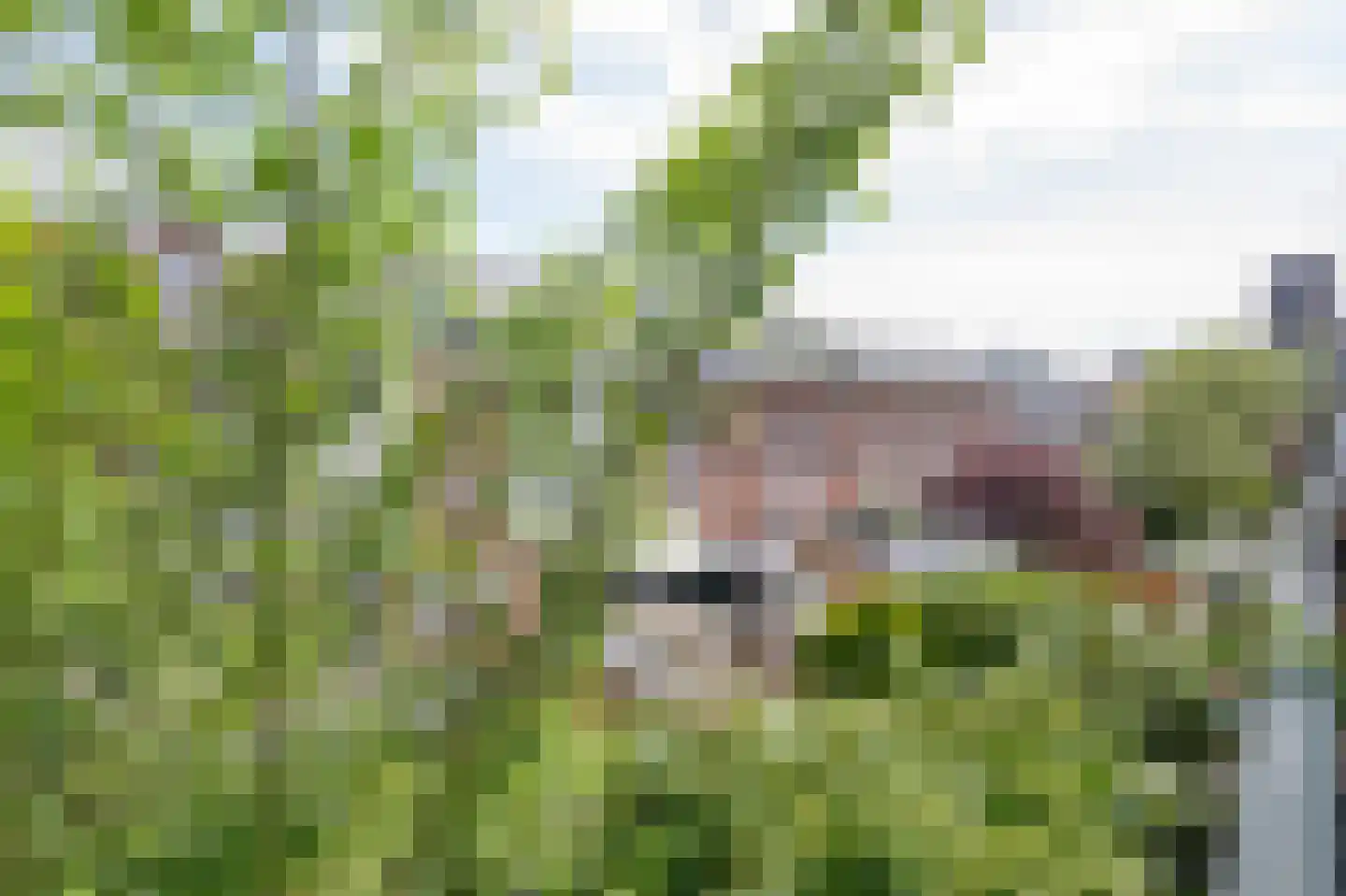 Mijnsherenlaan 132 B Rotterdam thumbnail 23
