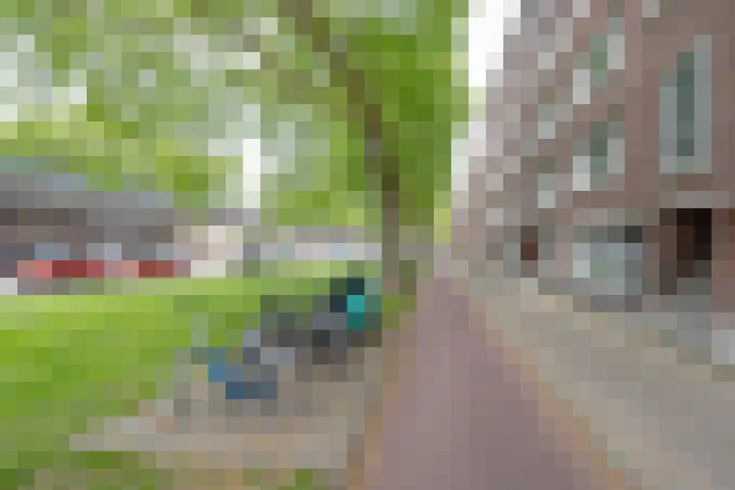 Mijnsherenlaan 132 B Rotterdam thumbnail 24