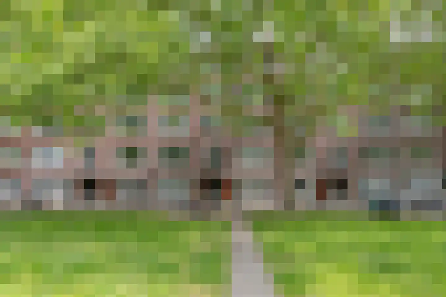Mijnsherenlaan 132 B Rotterdam thumbnail 6