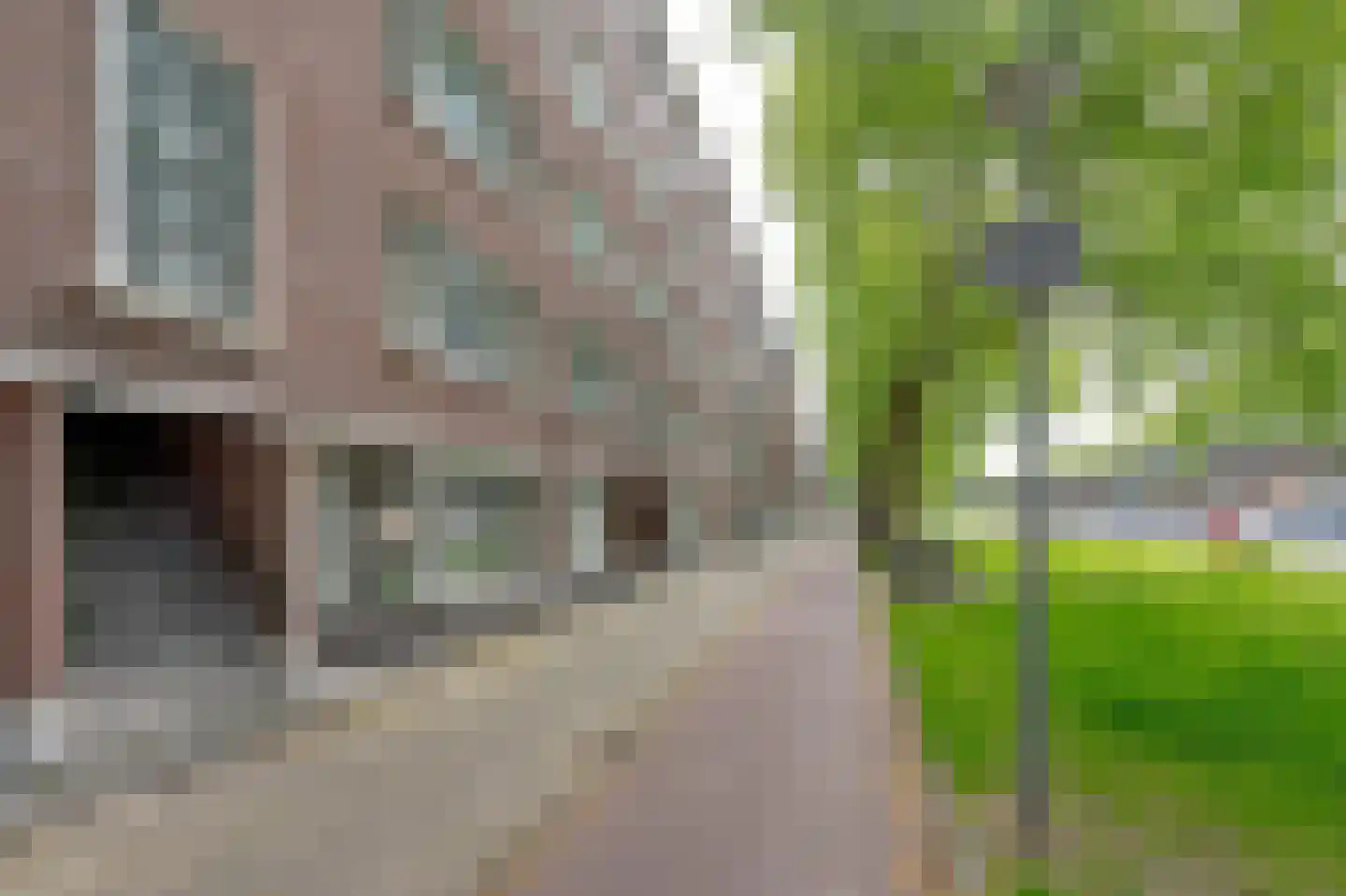Mijnsherenlaan 132 B Rotterdam thumbnail 7