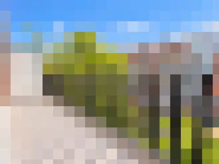 Mijnsherenlaan 134 D Rotterdam thumbnail 11