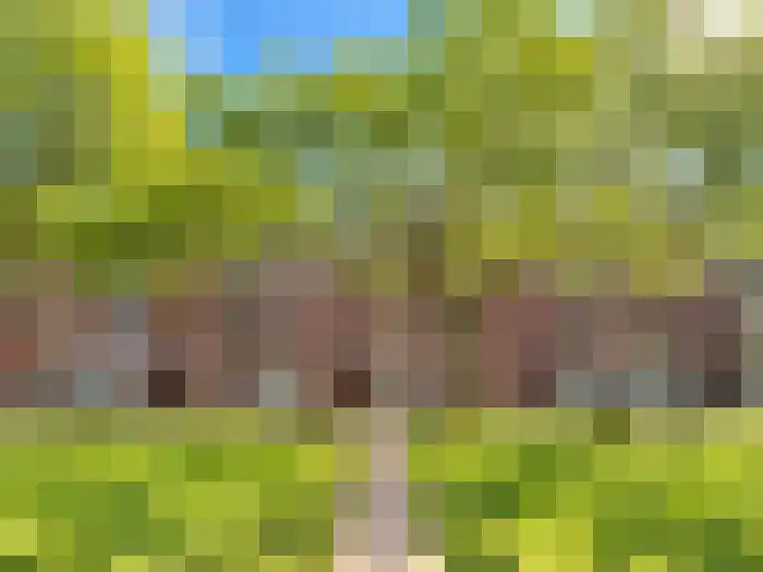Mijnsherenlaan 134 D Rotterdam thumbnail 12