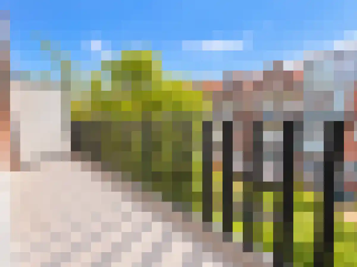 Mijnsherenlaan 134 D Rotterdam thumbnail 5