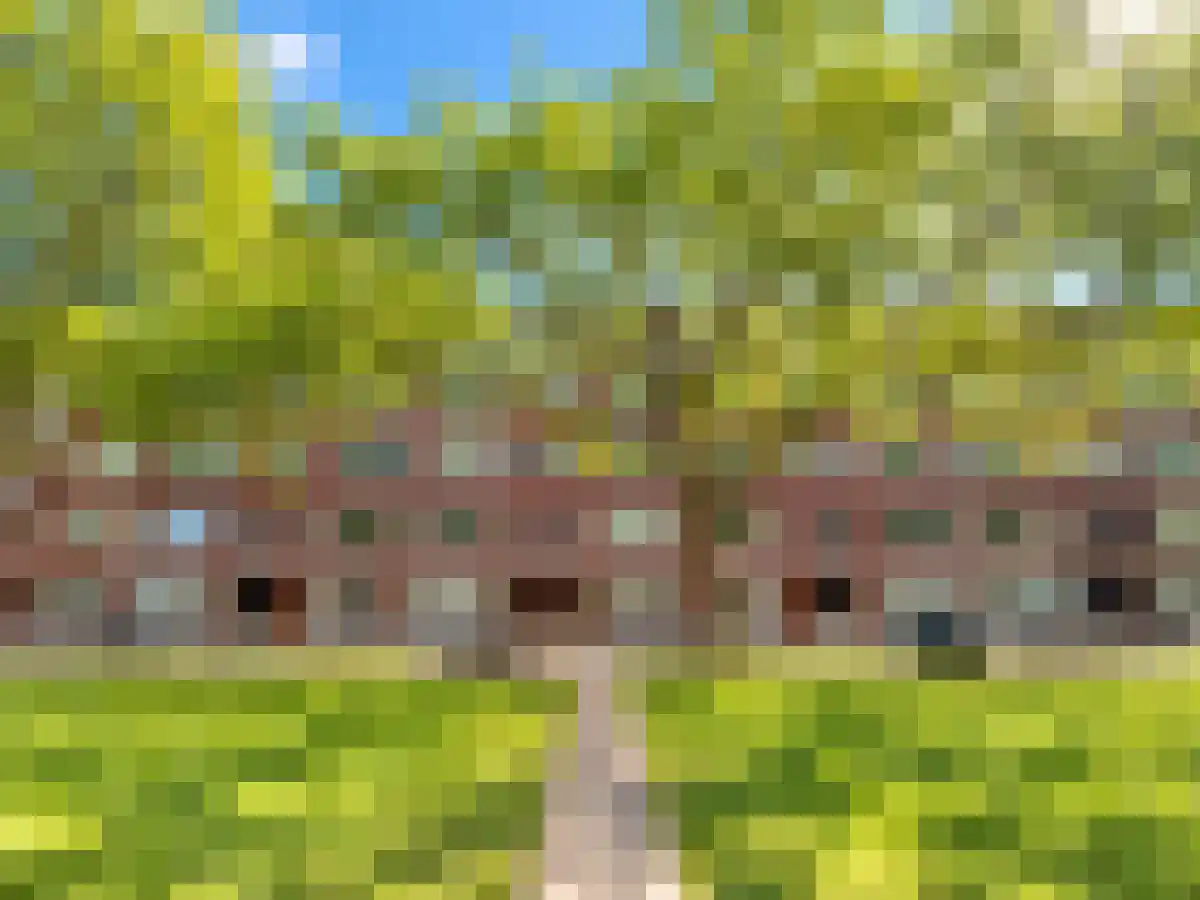 Mijnsherenlaan 134 D Rotterdam thumbnail 6