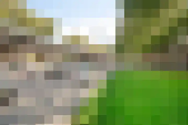 Mijnsherenlaan 136 A Rotterdam thumbnail 17