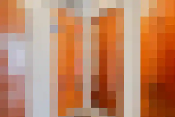 Mijnsherenlaan 136 A Rotterdam thumbnail 7