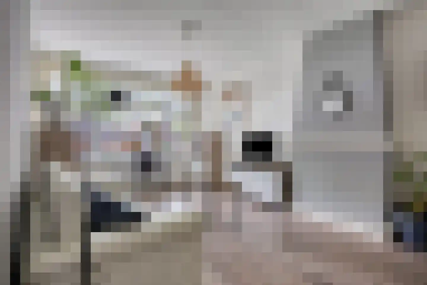 Mijnsherenlaan 142 B Rotterdam thumbnail 13