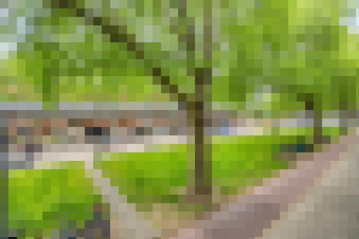 Mijnsherenlaan 142 B Rotterdam thumbnail 23