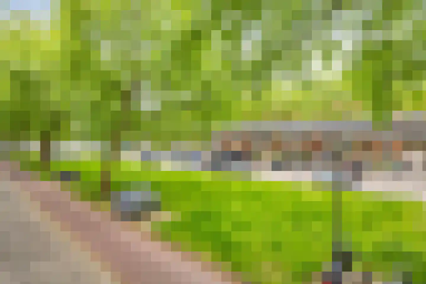 Mijnsherenlaan 142 B Rotterdam thumbnail 24