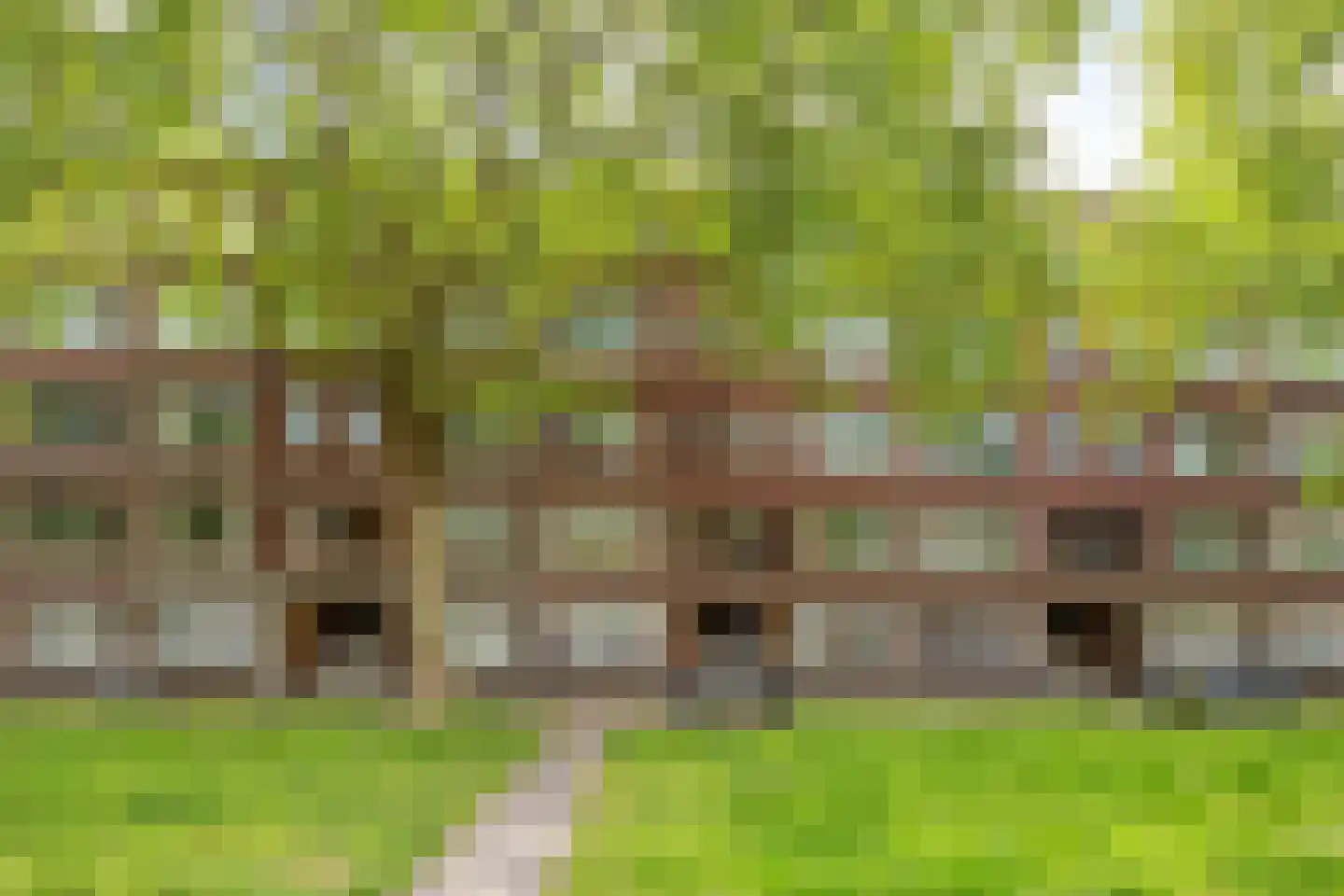 Mijnsherenlaan 142 B Rotterdam thumbnail 36