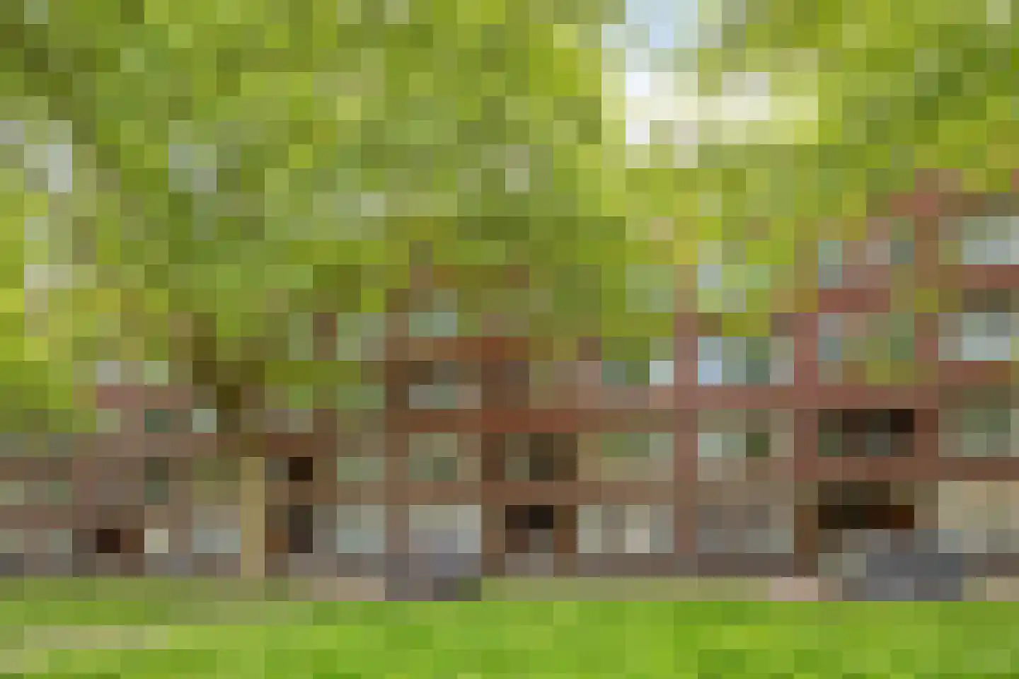 Mijnsherenlaan 142 B Rotterdam thumbnail 39