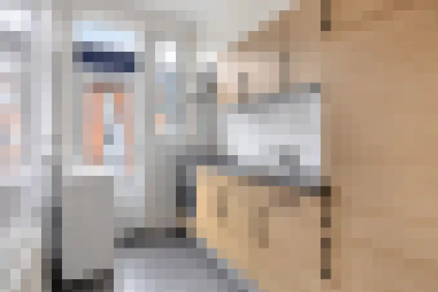 Mijnsherenlaan 142 B Rotterdam thumbnail 7