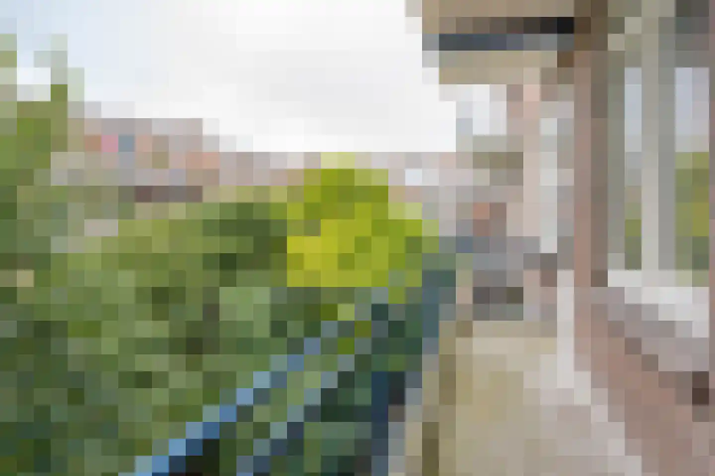 Mijnsherenlaan 149 C Rotterdam thumbnail 14