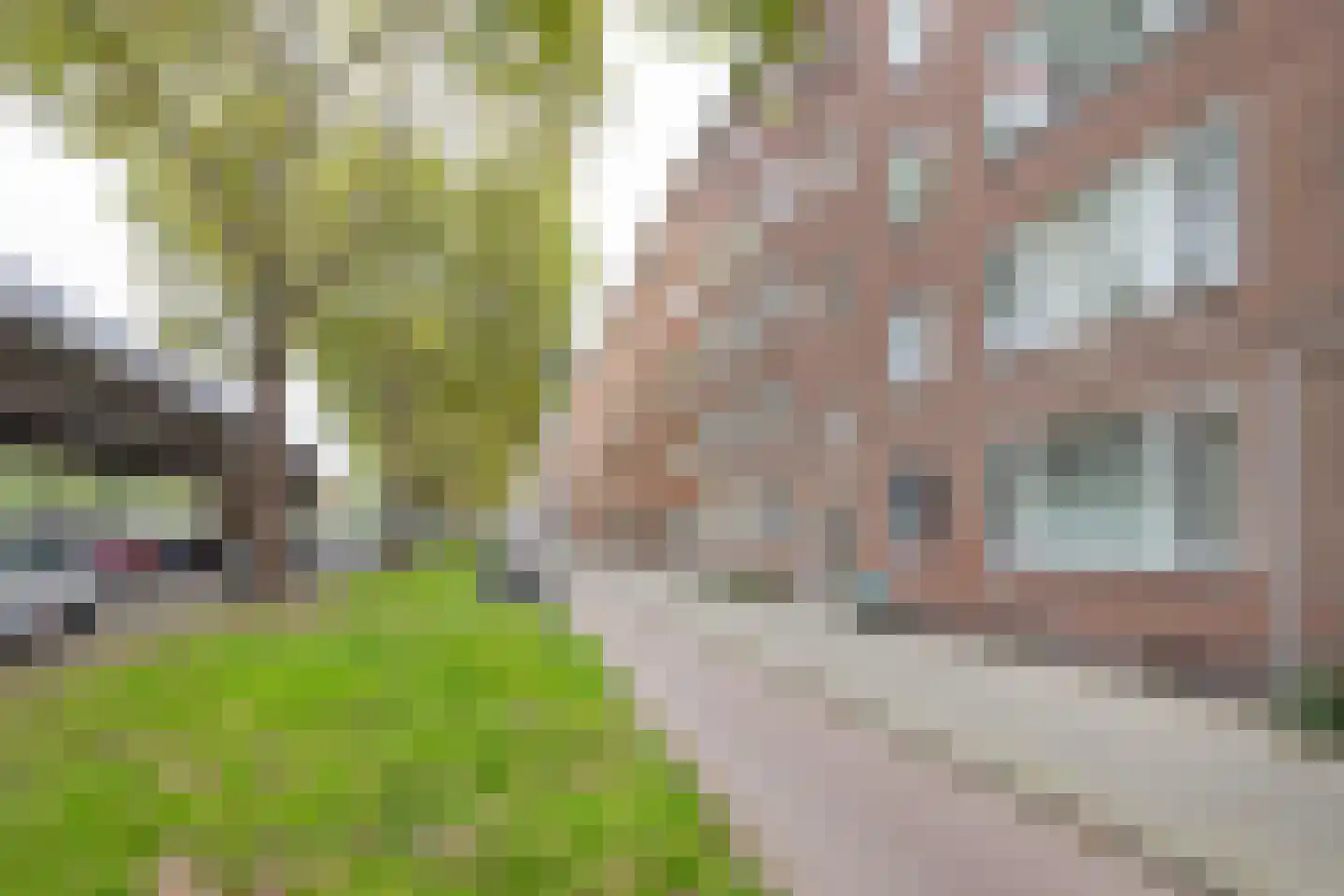 Mijnsherenlaan 149 C Rotterdam foto 2