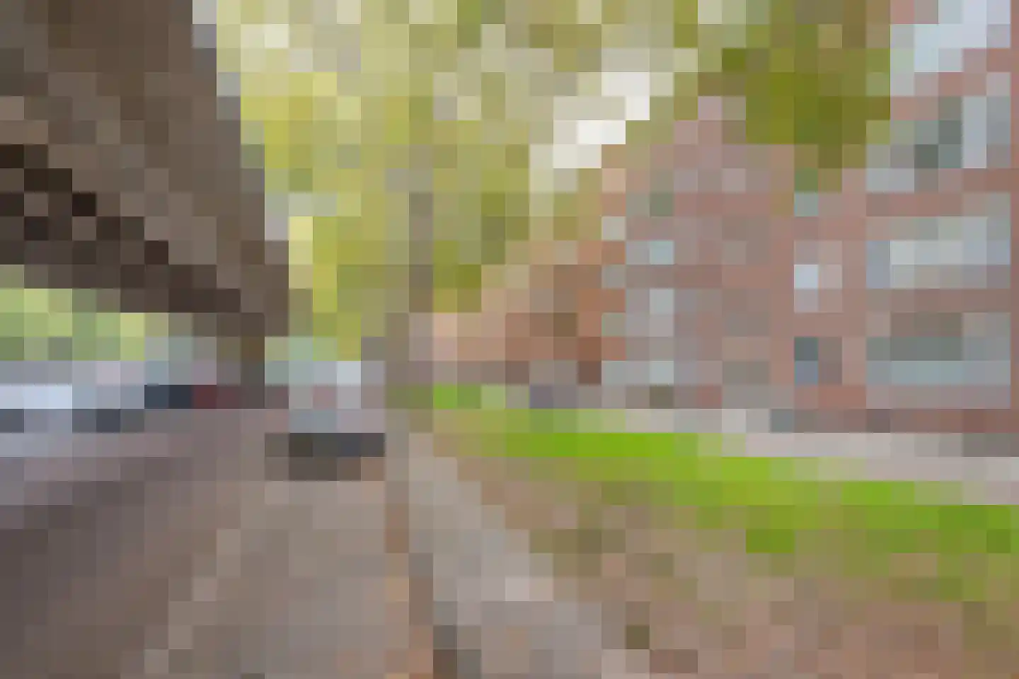 Mijnsherenlaan 149 C Rotterdam thumbnail 25