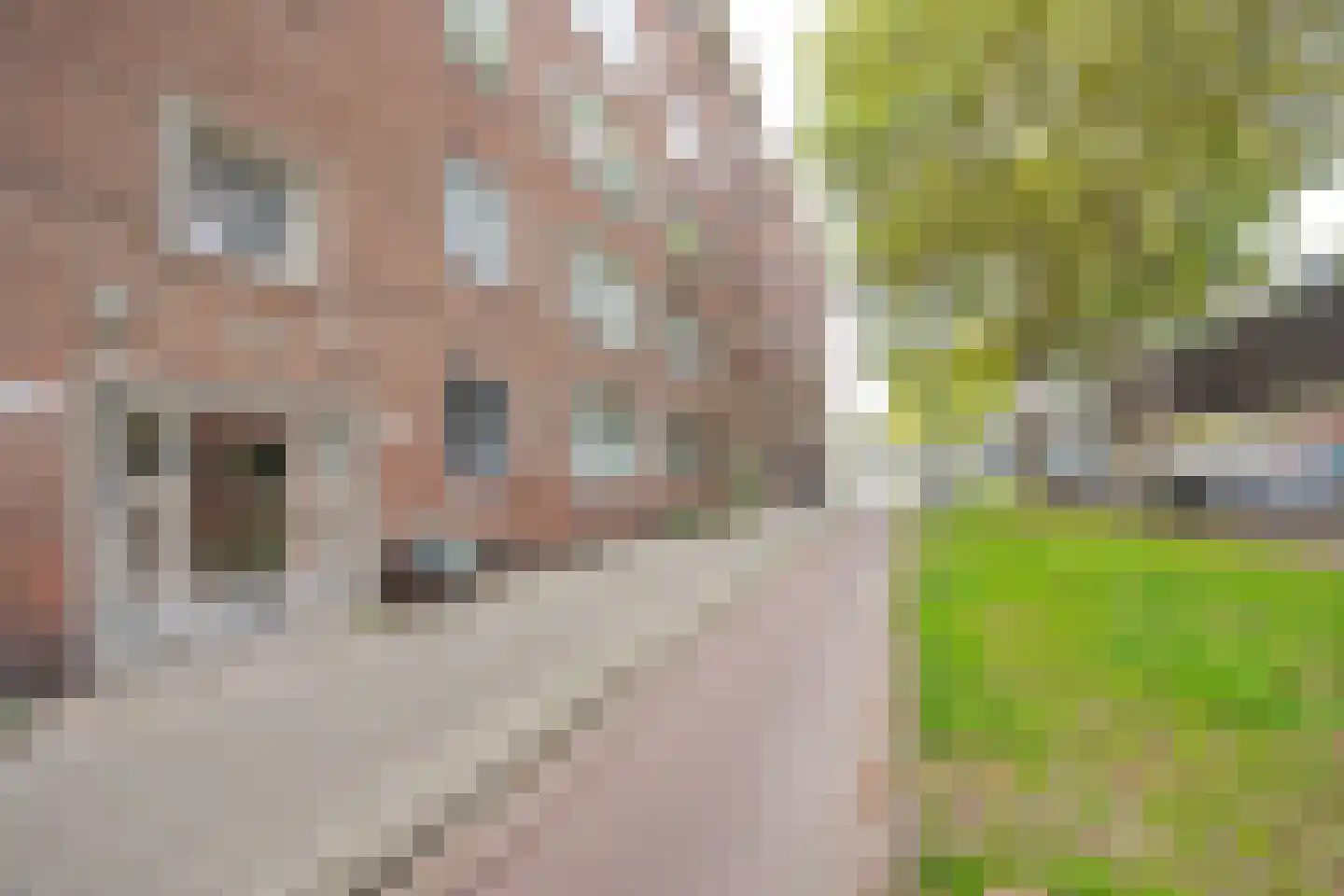 Mijnsherenlaan 149 C Rotterdam thumbnail 26