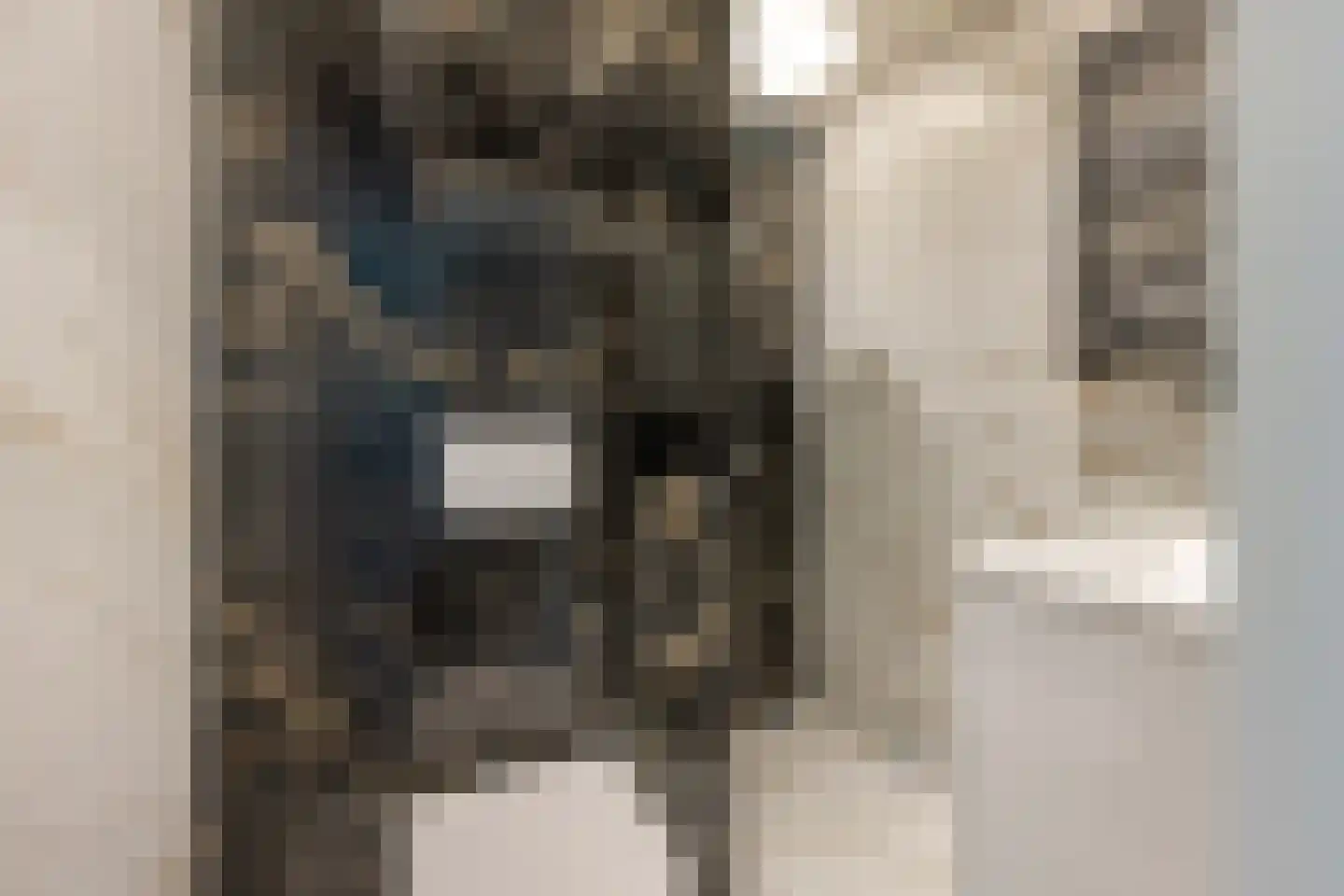 Mijnsherenlaan 149 C Rotterdam thumbnail 5